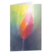 Produktbild des Artikels Schreibwaren Kunstkarten "Knospe" 5 Stk.