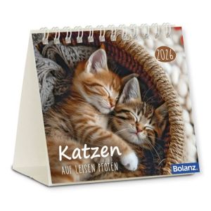 Produktbild des Artikels Katzen 2026 - Minikalender (Kalender - Spiralbindung)