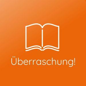 Produktbild des Artikels Überraschungspaket "Romane" (Buch)