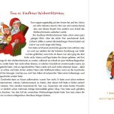 Die drei Weihnachtsdetektive schnappen den Dieb - Adventskalender