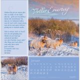 Sei behütet und gesegnet 2025 - Postkartenkalender