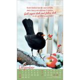 Beflügelt und geborgen 2025 - Postkartenkalender