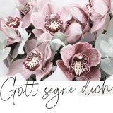 Stimmungsbild zu Unendlich geliebt - Textkarten