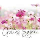 Stimmungsbild zu Unendlich geliebt - Textkarten