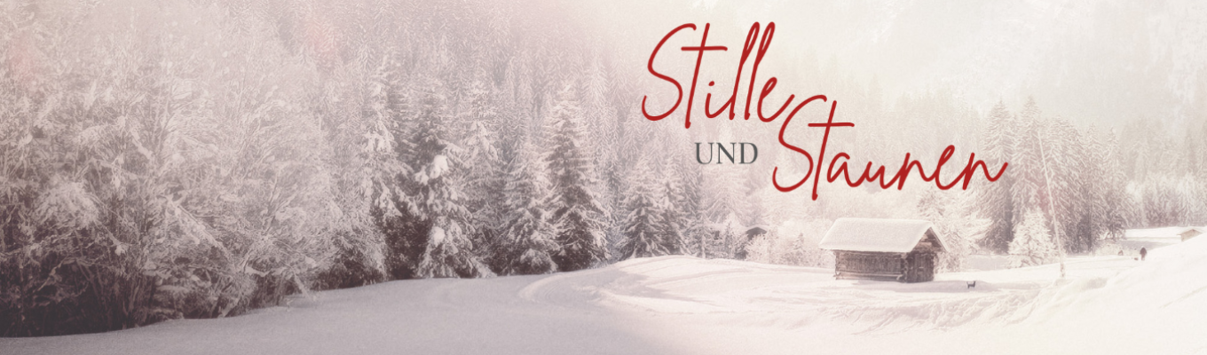Bild zum Beitrag - Stille und Staunen